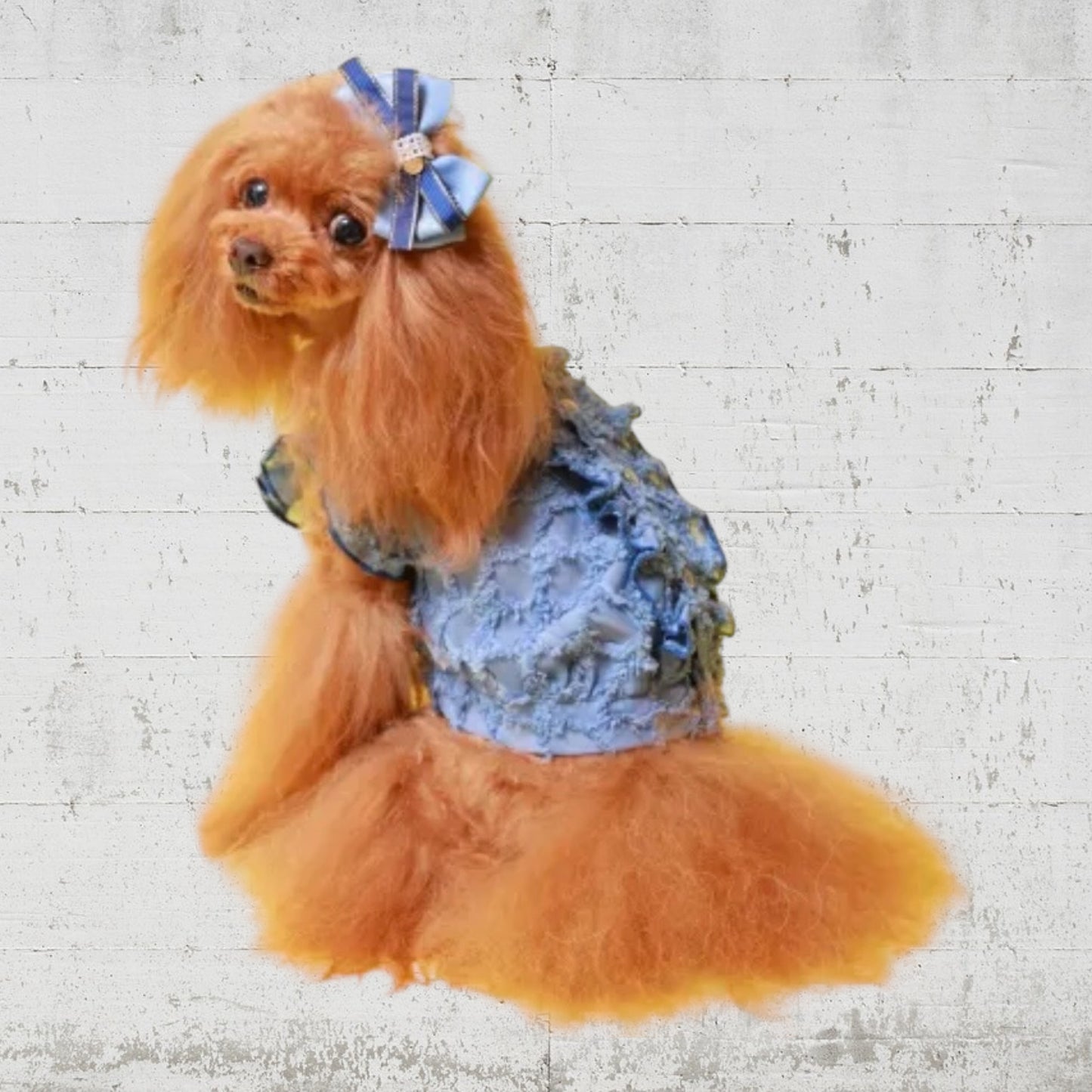 フリンジフリルブラウス