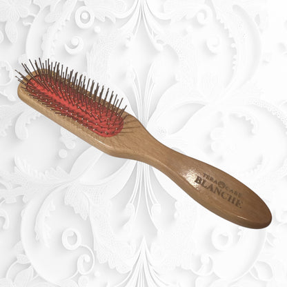 ハイパーテラヘルツ波転写ブラシ